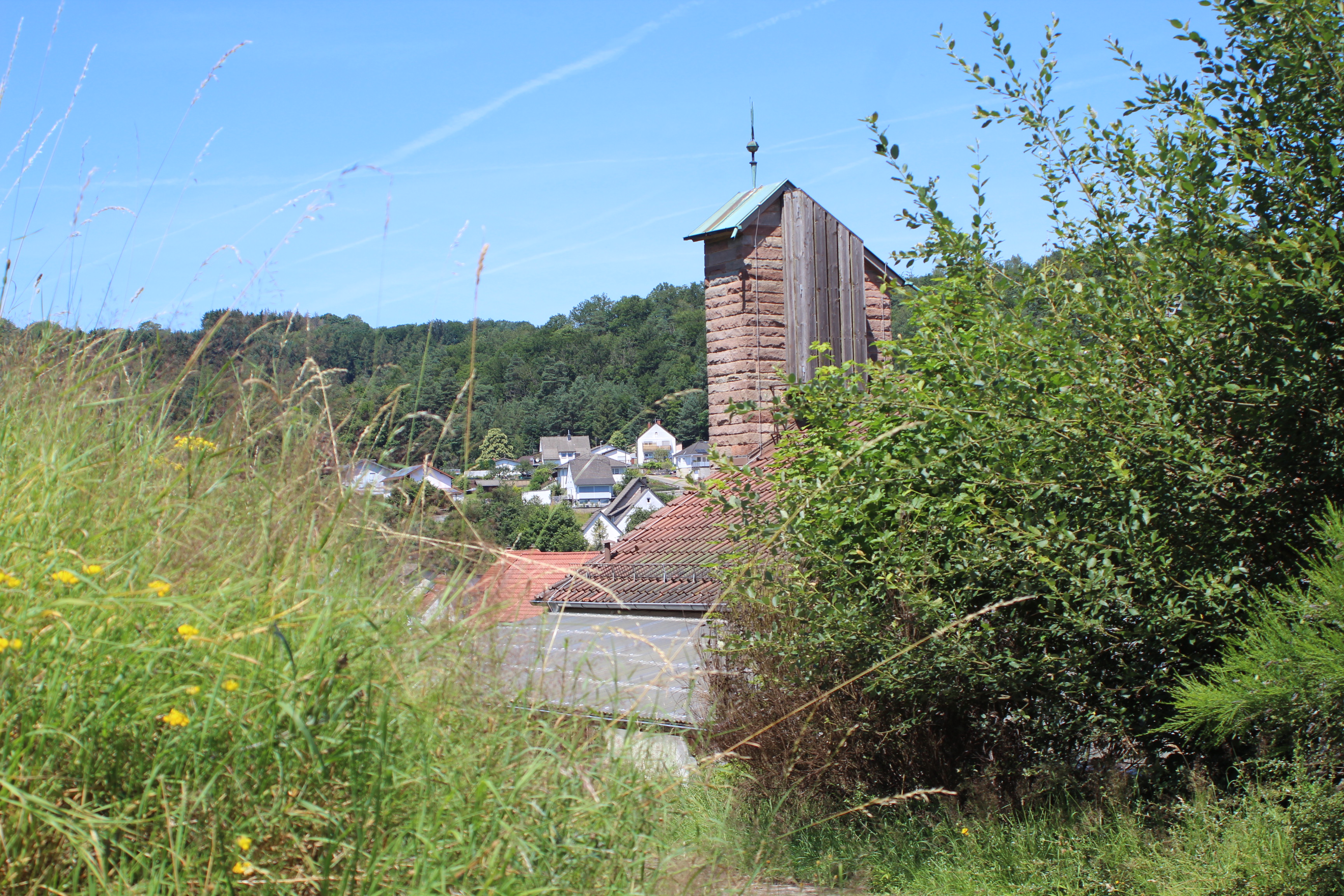 Außenanlage Krickenbach